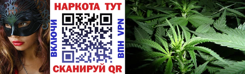 Купить Петушки Кокаин  Каннабис  Меф  A-PVP  ГАШ 