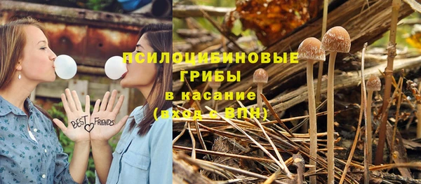 эйфоретик Балахна